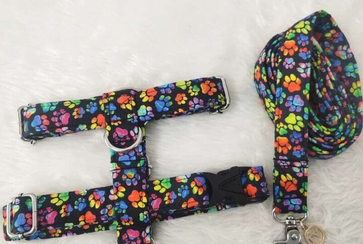 Furvilla Multicolored Pawmark Harness Leash Set