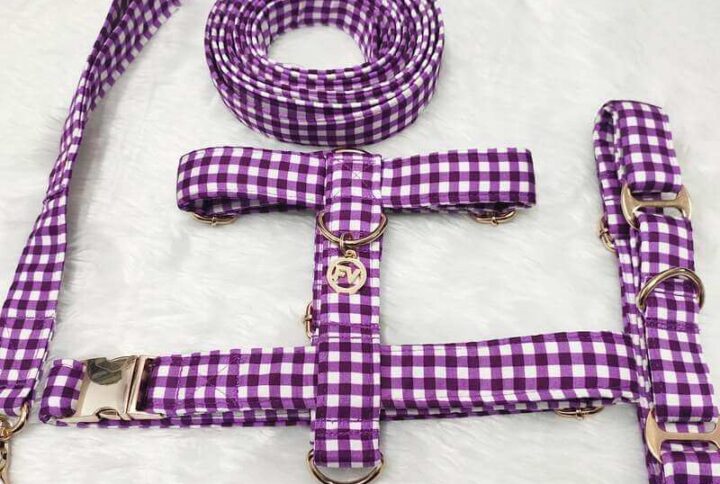 Furvilla Purple with White Check H Type Harness Martingale Collar Leash Set