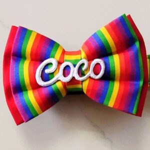 Furvilla Rainbow Theme Customizable Bow