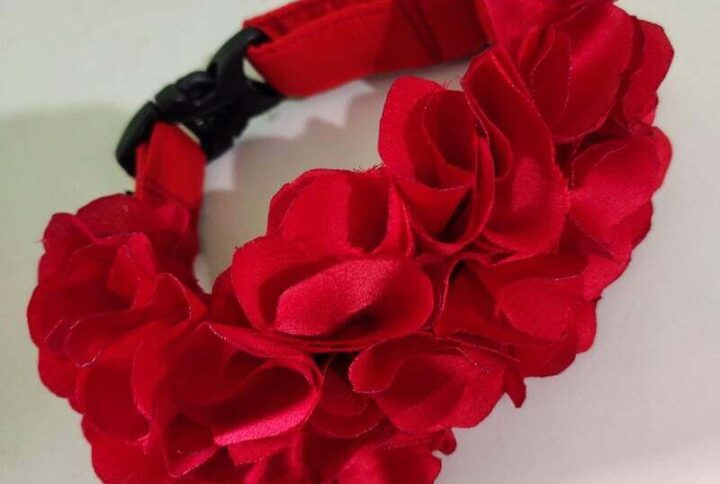 Furvilla Red Floral Collar