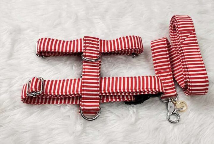 Furvilla Red White Stripe H Type Harness Leash Set