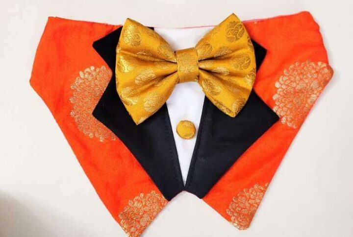 Furvilla Traditional Orange Festive Tuxedo Bandana
