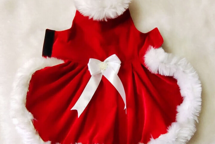 Furvilla Xmas Santa Dress Back