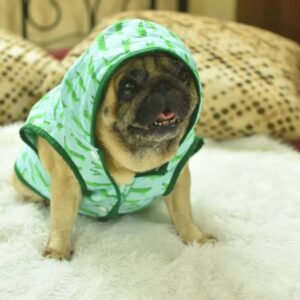 Furvilla Alligator Quilted Dog Winter Hoodie Front