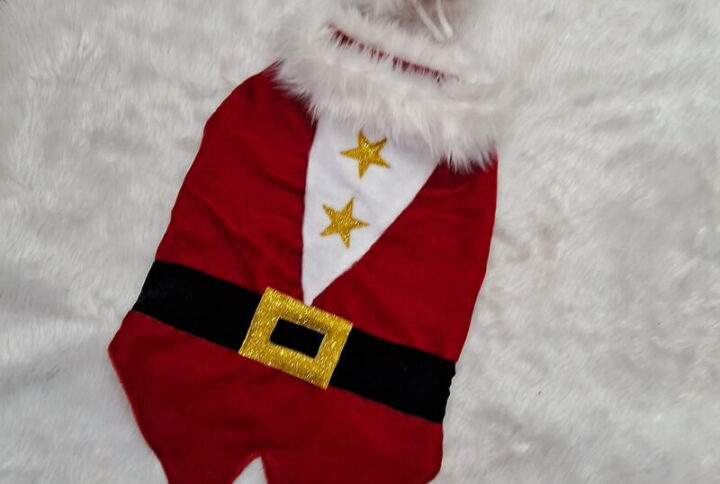 Furvilla Christmas 2023 Santa Theme Tuxedo Front