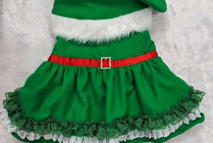 Furvilla Christmas Theme Green Dress with Beret Cap