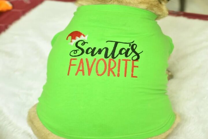 Furvilla Christmas Theme Santas Favorite T Shirt