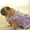 Furvilla Lavender Summer Frock Model