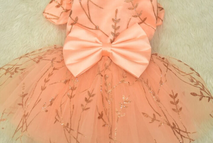 Furvilla Peach Special Occasion Partywear Back