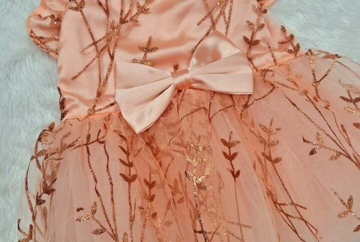 Furvilla Special Occasion Peach Partywear Back