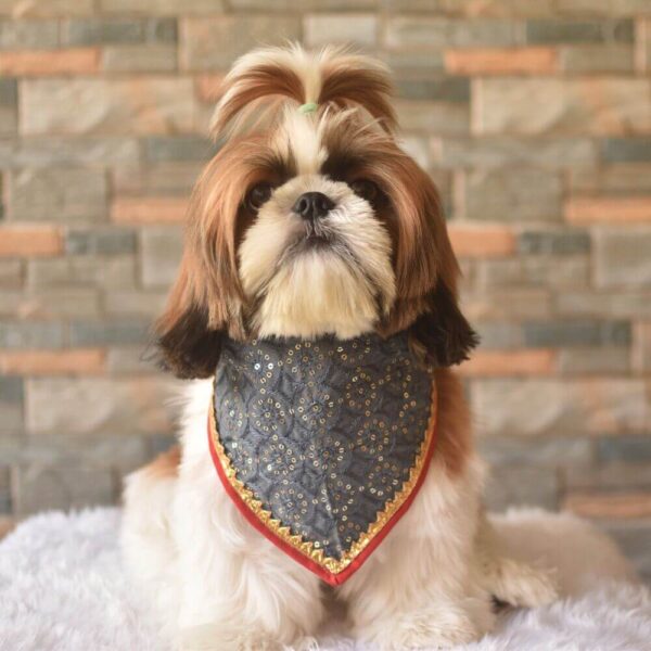 Furvilla Grey Red Georgette Festive Bandana Model