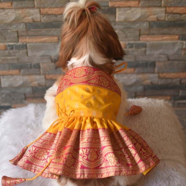 Furvilla Yellow Pink Traditional Banarasi Silk Festivewear Model Back