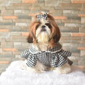 Furvilla Black White Houndstooth Dress Front