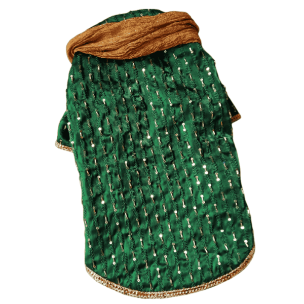 Furvilla Jimmy Choo Green Color Traditional Kurta with Dupatta Back