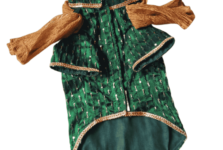 Furvilla Jimmy Choo Green Color Traditional Kurta with Dupatta Front