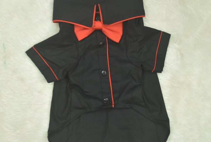 Furvilla Black Red Plain Cotton Shirt Front