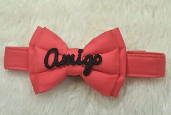 Furvilla Plain Pink Name Embroidered Customized Bow with Adjustable Velcro collar Front