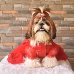 Furvilla Red Color Special Occasion Dog Fancy Dress Model Front