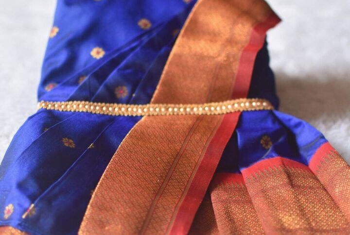 Furvilla Dark Blue Paithani Dogs Saree Back