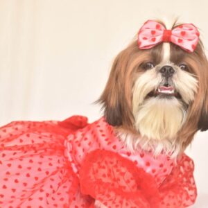 Furvilla Pink Satin Dress Front