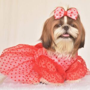 Furvilla Red Pink Dog Valentine Dress Face