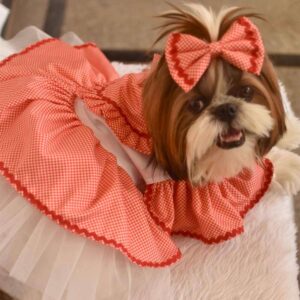 Furvilla Exclusive Red White Little Heart Dress Side
