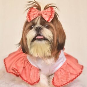 Furvilla Exclusive Red White Valentine Dog Dress 1