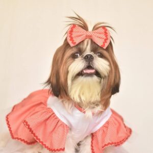 Furvilla Exclusive Red White Valentine Dog Dress