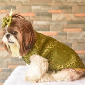 Furvilla Henna Green Brocade Fabric Sherwani Side