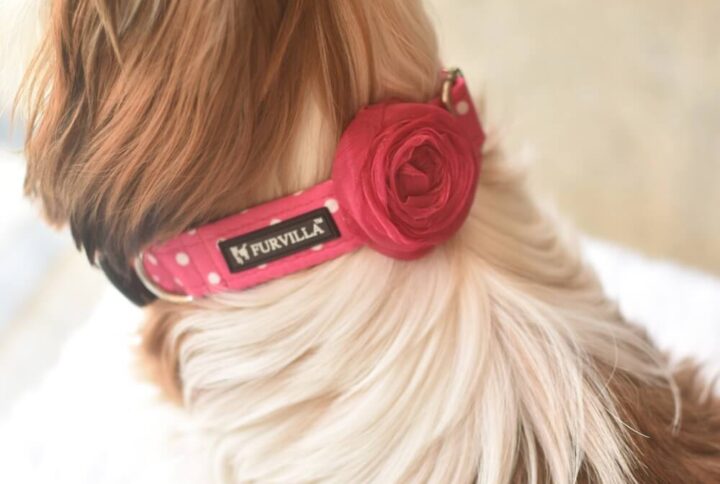 Furvilla Pink White Polka Dot Collar Dog Model