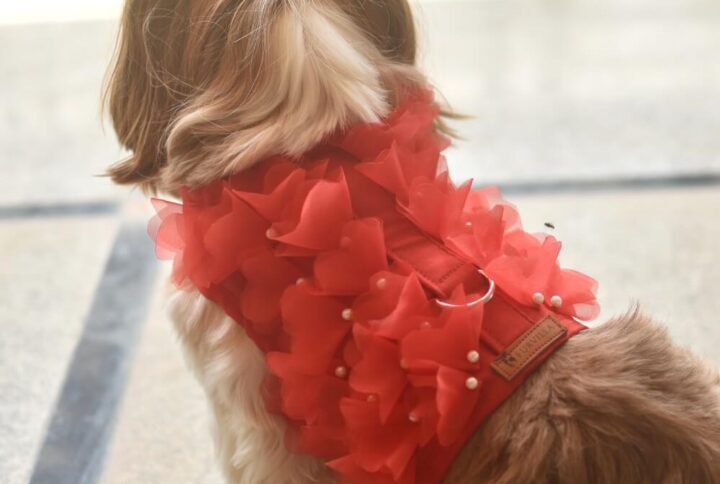 Furvilla Red Floral Harness and Leash