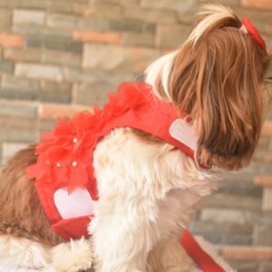Furvilla Red Floral Harness and Leash Side