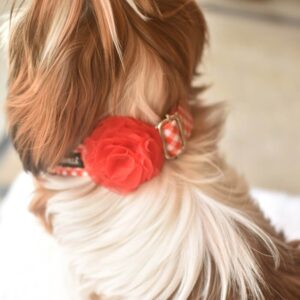 Furvilla Red Gingham Collar with Red Rose Model