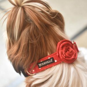 Furvilla Red Polka Dot Collar with Red Rose Model