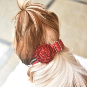 Furvilla Red Rose Collar with Glittering Rose Model