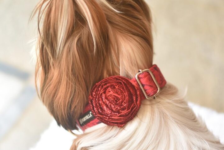 Furvilla Red Rose Collar with Glittering Rose Model