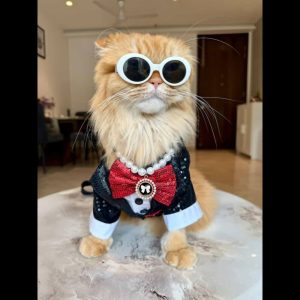 Furvilla Black White Sequin Tuxedo Plowy
