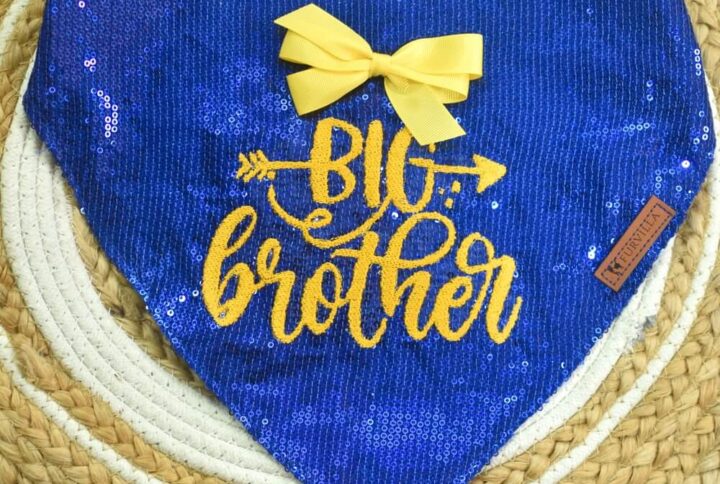 Furvilla Blue Customized Bandanas Embroidered Bandana Big Brother