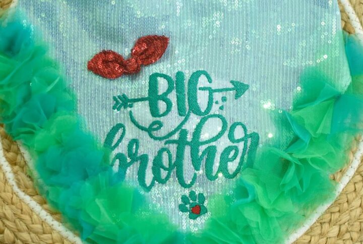 Furvilla Green Big Brother Sequin Bandana Embroidered Bandana