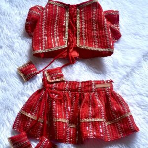 Furvilla Red Designer Lehengas for Dogs Cat Lehenga Back