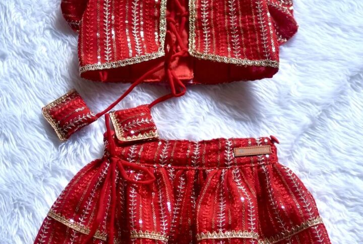 Furvilla Red Designer Lehengas for Dogs Cat Lehenga Back