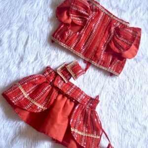 Furvilla Red Designer Lehengas for Dogs Cat Lehenga Front
