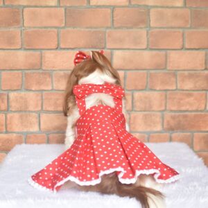 Furvilla Red White Polka Dot Casual Backless Dress Back