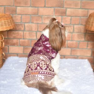 Furvilla Wine Dola Silk Sherwani Back