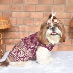 Furvilla Wine Dola Silk Sherwani Side