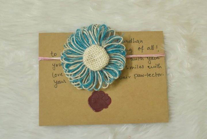 Furvilla Blue Pet Rakhi