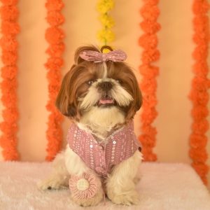 Furvilla Onion Pink Rakhi 2025 Sherwani for Pets
