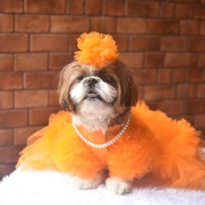 Furvilla Orange Tutu Dress Pet Tutu Dress Front