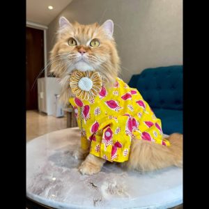 Furvilla Yellow Pet Rakhi Kurta Plowy