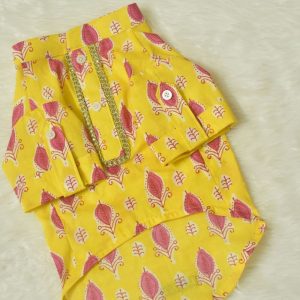 Furvilla Yellow Pet Rakhi Outfit Front Upclose
